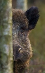 7df77833-129c-4c21-8325-0b529c19a361