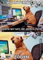 275fb75f-2d65-4036-ba65-743fd4ad7494