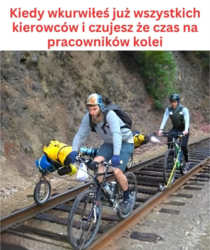 4c9d0ad5-569d-4a19-9786-9374a8a58997