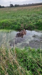 1f1a1167-3e34-4940-ad51-616c21aa59a4