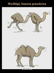 586de424-6911-4fd9-88aa-c19501121c4f