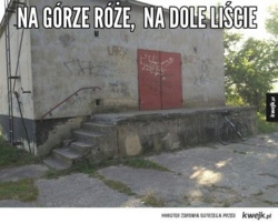 45d4f40d-5e14-4928-9e9e-cd82503812da