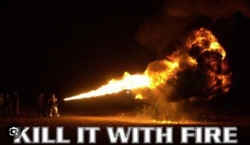 45ec5f0a-7144-48a1-9365-6e654dc09cea