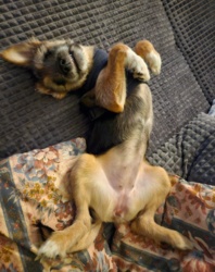 ccfc5123-ab44-49c7-955f-c2561cad6192