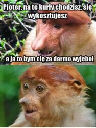 15b37348-f0e3-47ec-9e85-edb6711883ef