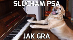 57f43041-0372-4958-8223-47463532f680