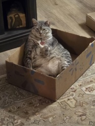 fcfe6a2d-dad5-468a-af05-45a66d209d63