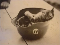 a4ebd69c-e6e2-420a-9924-626128df8893