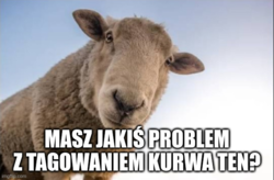 75ded8dd-1eaf-4240-8abb-265aa8c54634