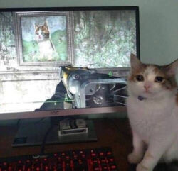 0423f45f-f476-4b4e-aee6-c8459c811e3c