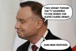 6e0ecd06-101d-4597-abf8-89bc3442335f