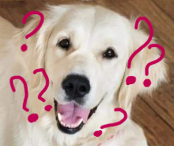 0a74f5ae-f347-4392-8d74-d5535cd3540a