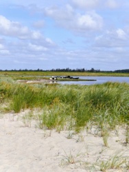 f03ed893-55ab-47b7-9755-86c54ef756bc