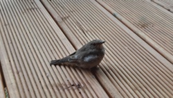 b9d1ee7b-3d22-4a83-8a47-f04753f65c55