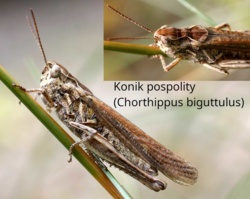 10d91ad0-8b83-4045-9971-3fd640cd90a9