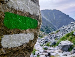 14b1ae5e-5cd8-472b-8f46-39b8b815f41d