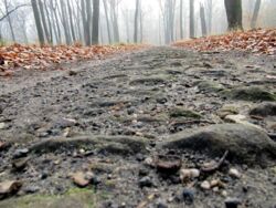 01ea153b-6daa-444d-bda2-37269fb20069