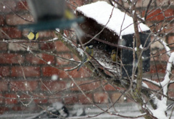 c57716b3-8792-4d3c-8fcb-9bc966877001