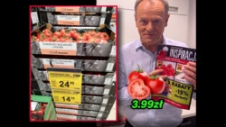 5551711a-95b7-452a-8884-3d087797d453