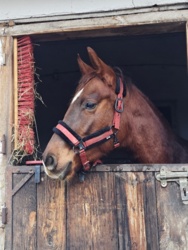 c725b487-c4cc-4ae9-8b55-6d52d3e56e8f