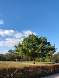 713037ac-ec4f-45ce-93e8-251ff1fa14c6