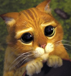 b66f16a7-d2da-4c5e-99d5-6c80f9172420