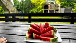 44243d57-9e8b-4528-aff2-eb48aaa52439