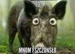 8699cbd9-2875-4bf2-8314-a30093be15a3