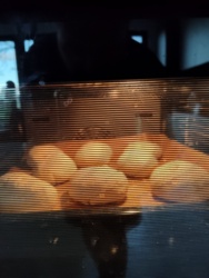 20535f90-00e7-4012-96ba-adb113768d9b