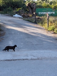 a0eed899-07a6-455c-bd97-f5cb0a95177b