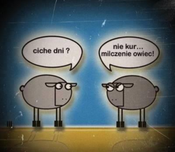 00cc8193-7d05-46c8-81ce-a23630b4c634