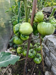 28948a6f-5d1b-4fff-b6cc-dfbd9d821fc4