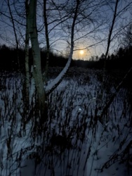 9c9b6b6f-07ce-4161-b28a-14231ec7fec1