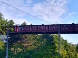 202664d3-ab31-4d56-814c-ba555d4564bb