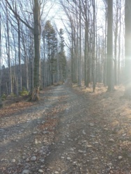 0921a768-e052-4075-baf2-a68471136763