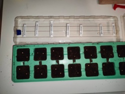 74fef0ca-c899-42df-aa2b-d106170243a0