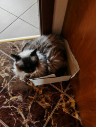 441c9138-a5af-403d-86ae-92737f9310cf