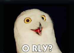 5087eed4-cc58-440e-a673-685c873e6d11