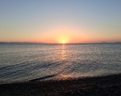 c3cb7c30-a4d1-4d93-a5cf-e998dfc697f7