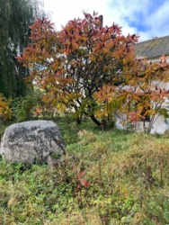 f4ed7904-7e7a-4a4b-aa95-19c3dd8f6c8a