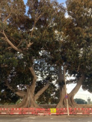 c116cde0-b6a4-4532-961e-ea4984c18e0d