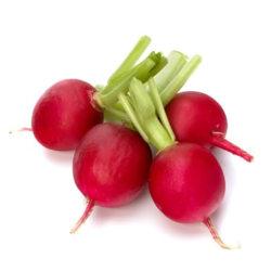 e3aa3acd-e26d-415f-bf42-8079285b594f