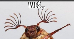 737a489a-28de-4898-85fa-681f86afa61c