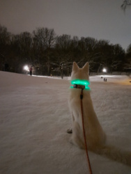 cccd578b-0b75-46a9-b245-5af3ef86216d