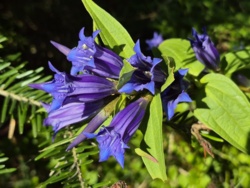 96a4af96-ac08-475f-886d-f860fa1f20b9