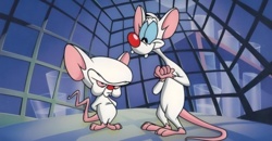 6e02f32c-6d1d-4772-9264-48451cfb2298