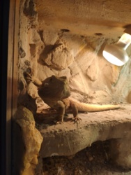 a0546fcc-20c5-4678-bba4-d2f9ca77745a