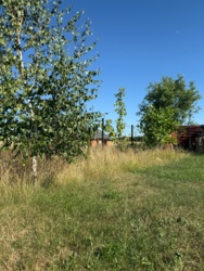 562230ef-3cee-4935-9115-9e10249a29f4