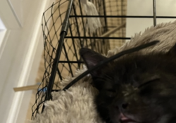 c030e4d4-a7b2-4afa-9650-9290e115449c