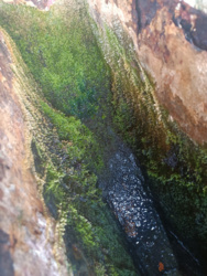 a8bc7ace-fc3b-4cb4-8e76-2488795f5dd2